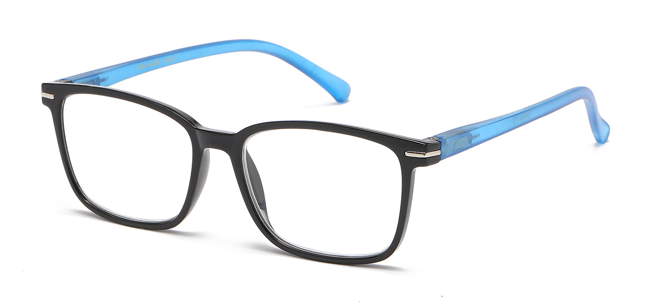 Reading Glasses R478-ASST