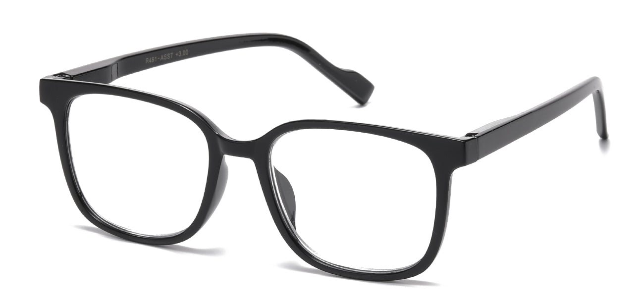 Reading Glasses R491-ASST