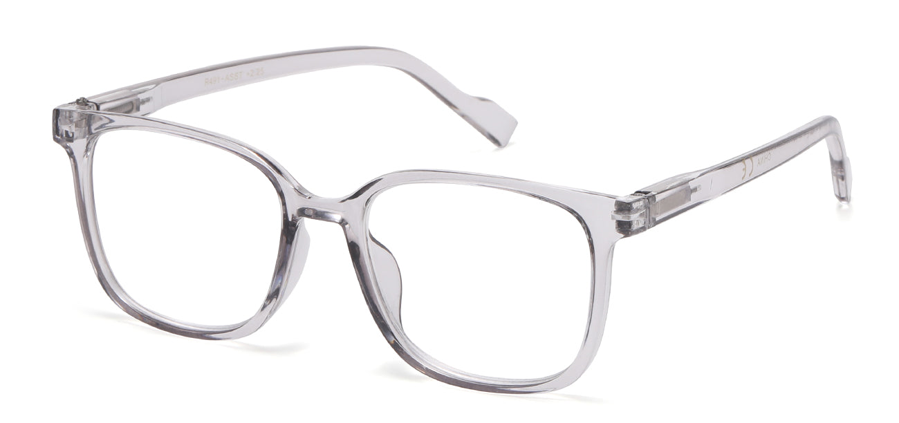 Reading Glasses R491-ASST