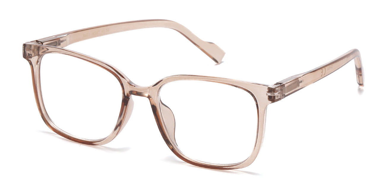 Reading Glasses R491-ASST