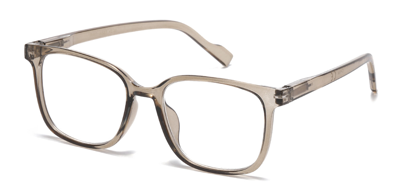 Reading Glasses R491-ASST