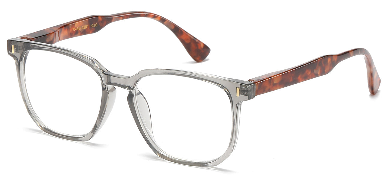 Chic Style Reading Glasses R466