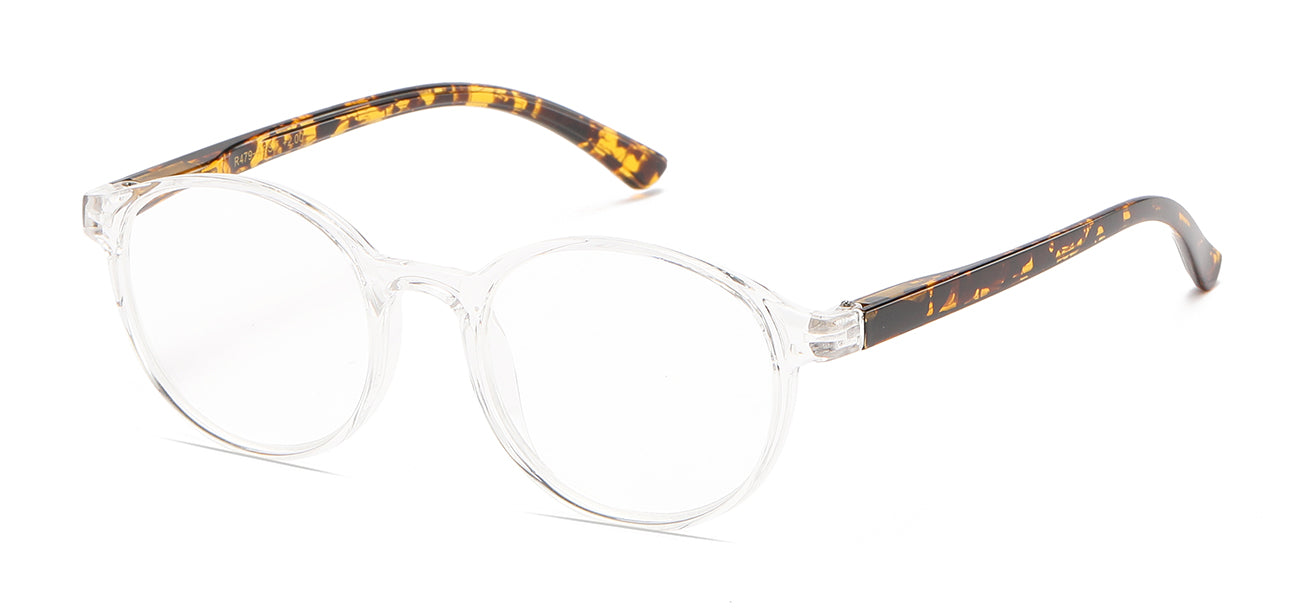 Fashionable Reading Glasses R479-ASST